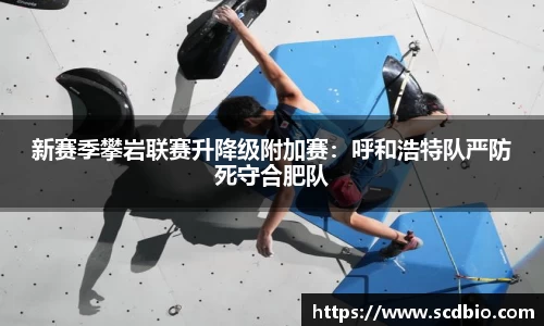 哈哈体育官网