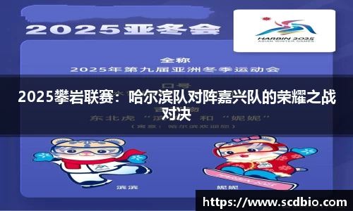 哈哈体育官方网站