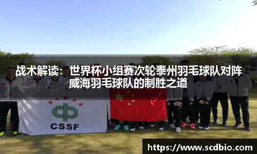 战术解读：世界杯小组赛次轮泰州羽毛球队对阵威海羽毛球队的制胜之道