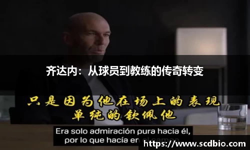 哈哈体育